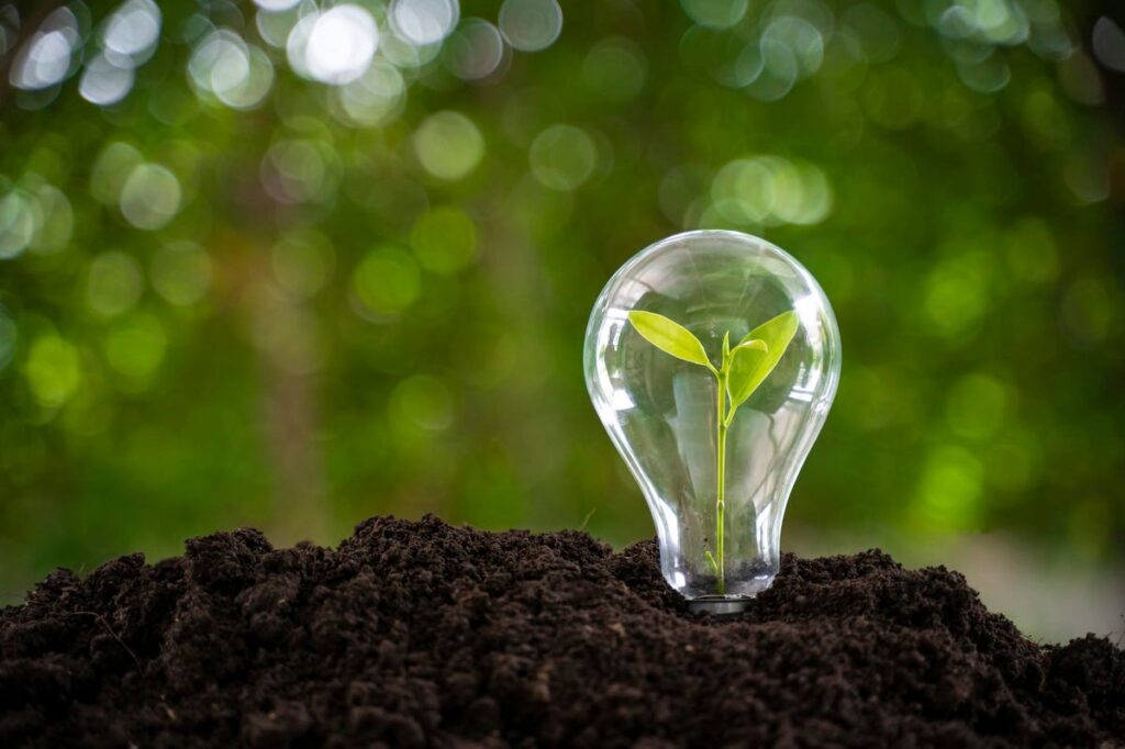 sustentabilidade para pequenas empresas