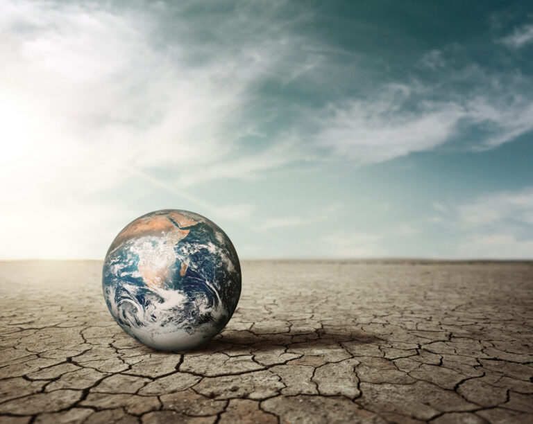 cop 27
